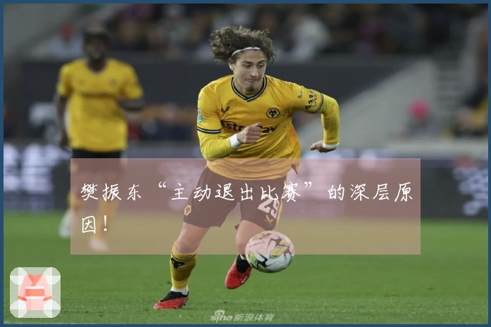 樊振东“主动退出比赛”的深层原因！