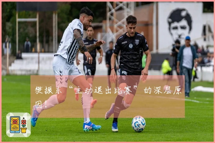 樊振东“主动退出比赛”的深层原因！